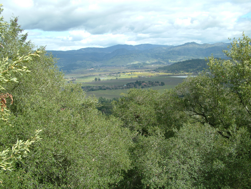 View of Sonoma County